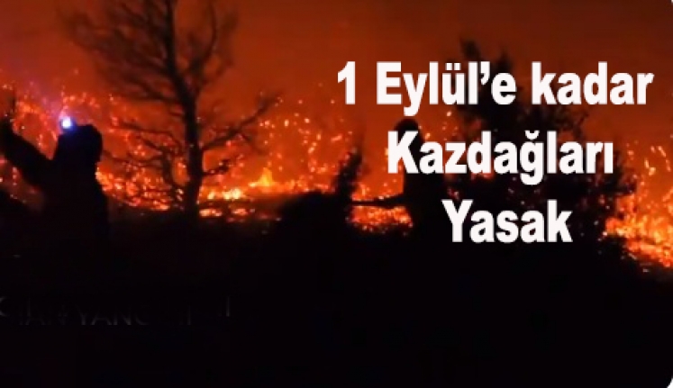 Son Dakika: Balıkesir'de ormanlık alana giriş 1 Eylül'e kadar yasaklandı