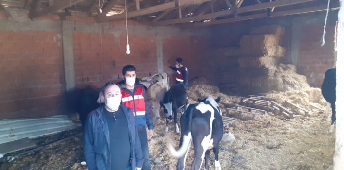 Balıkesir Polis&amp;Jandarma 24 Saat 14.10.2021 Jandarma dedektifleri altın hırsızlarını yakaladı
