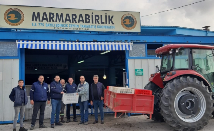 Edincik Zeytin Satış Kooperatifi’nde 2024-2025 Zeytin Alım Kampanyası Başladı
