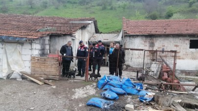 Balıkesir'de hayvan koruma operasyonu