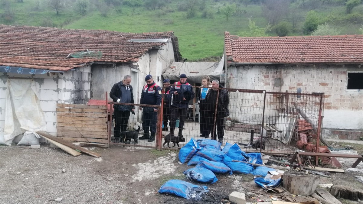 Balıkesir'de hayvan koruma operasyonu