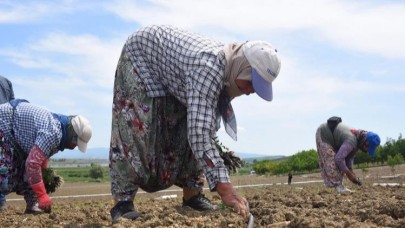 Manyas Ovası, BASKİ dokunuşuyla bereketleniyor
