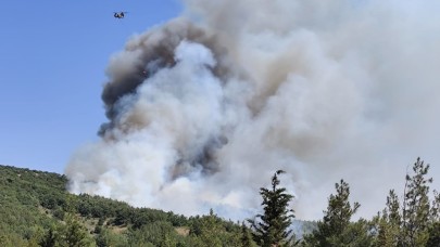Balıkesir Kepsut Sarıfakılar'da da orman yangını çıktı