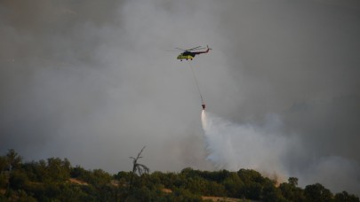 Vali Ustaoğlu, Dursunbey'de