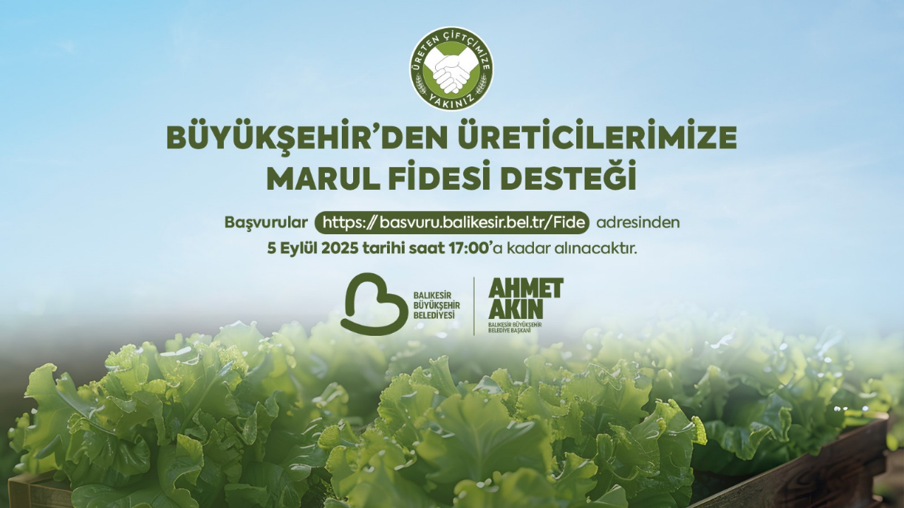 Büyükşehirden çiftçilere marul fidesi desteği