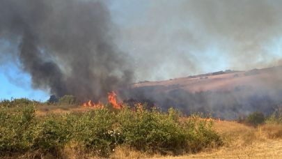 Manyas'ta korkutan yangın