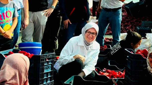 Bigadiç’te biber hasadını çiftçilerle yaptılar