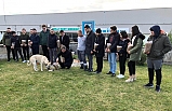 Hayvanların çığlığını duydular