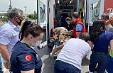 Edremit Ticaret Odası Başkanı kaza yaptığı minibüste sıkıştı