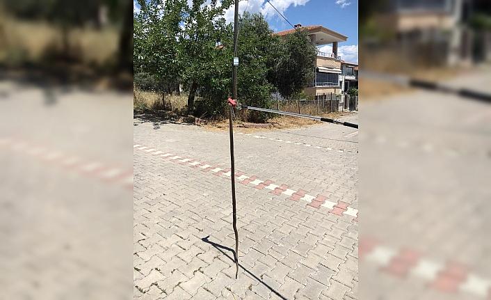 Edremit’te yılan paniğe neden oldu
