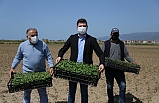 EDREMİT BELEDİYESİ’NİN TARIMA DESTEĞİ SÜRÜYOR