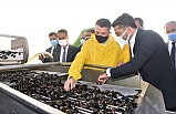 Bakan Pakdemirli destekleme müjdesini Balıkesir’den verdi.