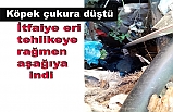 Köpek kurtarma operasyonu