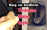 Kuş ve kediyi itfaiye kurtardı
