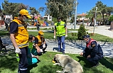 SOKAK HAYVANLARI EKİBİ BURHANİYE’DE ÇALIŞIYOR