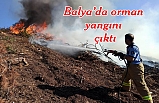 Orman yangını çıktı