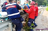 Bu araçtan yaralı kurtuldu