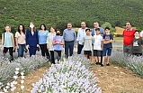 İvrindi'de lavanta ile adını duyuracak