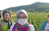 Milletvekili UYGUR, Gömeç ve Ayvalık'ta