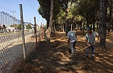 Ayvalık'ta yangın alarmı