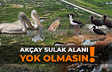 Kazdağı Doğal ve Kültürel Varlıkları Koruma Derneği işin peşini bırakmıyor