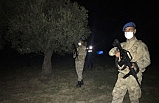 Jandarma zeytin hırsızlıklarına karşı tarlada hırsız koşturacak