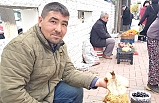Mantar 50 liradan tezgahta