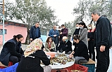 Vali Şıldak zeytin silkti, eşi topladı