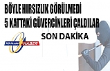 Yok artık!  - 5 kattaki 15 bin liralık güvercinleri çaldılar  