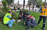 Burhaniye Belediyesi sert kış şartlarında sokak hayvanlarını unutmadı.