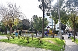 Önce anket, sonra park