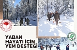 Yaban hayvanlarını unutmadılar