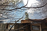 Ülkü Tepe yanıyordu