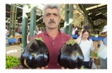 Burhaniyeli çiftçi ata tohum kullandı kiloluk patlıcanlar elde etti