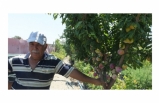Balıkesir’de işçi emeklisi vatandaş kendini yeşile adadı