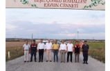 Kavun Cennetinde Hasat Yapıldı