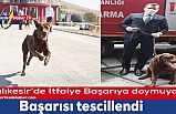 Balıkesir İtfaiyesinin büyük başarısı. Labrador ödülle döndü
