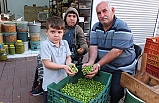 Burhaniye’de kırma zeytin yapımına başlandı