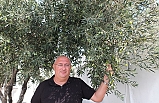 Burhaniye’de zeytinde bereket yılı