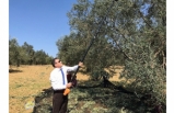 Kaymakam Zeytin Hasadı Yaptı