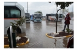 Ayvalık’ta Sağanak Yağış Ucuz Atlatıldı