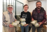 Burhaniye’de Şeker Otu Amerika’ya İhraç Ediliyor