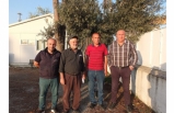 Burhaniye’de Zeytinyağı Fiyatları Üreticiyi Sevindirdi