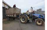Yem Pahalanınca Çobanlar Zeytin Yaprağına Yöneldi