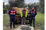 Zeytin Hırsızlıklarına Karşı Alınan Önlemler