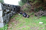 Ayvalık'ta sokakta yaşayan adam ormanlık alanda ölü bulundu