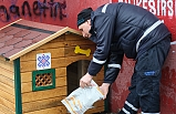 Altıeylül'de Sokak Hayvanları Unutulmadı