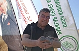 Süne zaralısı ile biyolojik mücadele başlatıldı
