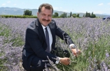 Aromaterapinin şifalı dünyasına yolculuk başlıyor