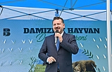 85 üreticiye 585 küçükbaş desteği